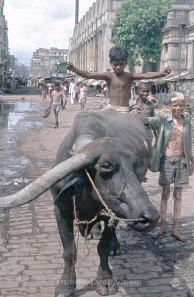 vermutlich 1974. Indien. Westbengalen. Kalkutta. Calcutta. Kolkata
vermutlich 1974. Indien. Westbengalen. Kalkutta. Calcutta. Kolkata
Schlüsselwörter: 1974;Calcutta;Indien;Kalkutta;Kolkata;Westbengalen