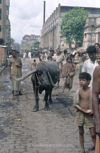vermutlich 1974. Indien. Westbengalen. Kalkutta. Calcutta. Kolkata
vermutlich 1974. Indien. Westbengalen. Kalkutta. Calcutta. Kolkata
Schlüsselwörter: 1974;Calcutta;Indien;Kalkutta;Kolkata;Westbengalen