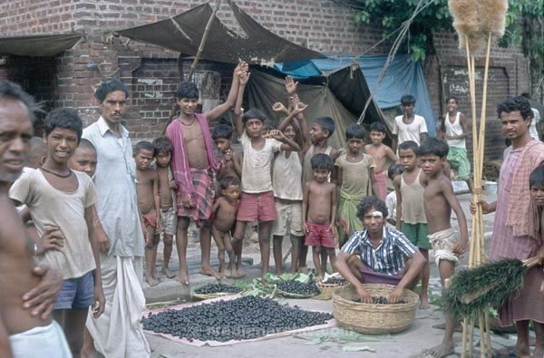 vermutlich 1974. Indien. Westbengalen. Kalkutta. Calcutta. Kolkata
vermutlich 1974. Indien. Westbengalen. Kalkutta. Calcutta. Kolkata
Schlüsselwörter: 1974;Calcutta;Indien;Kalkutta;Kolkata;Westbengalen