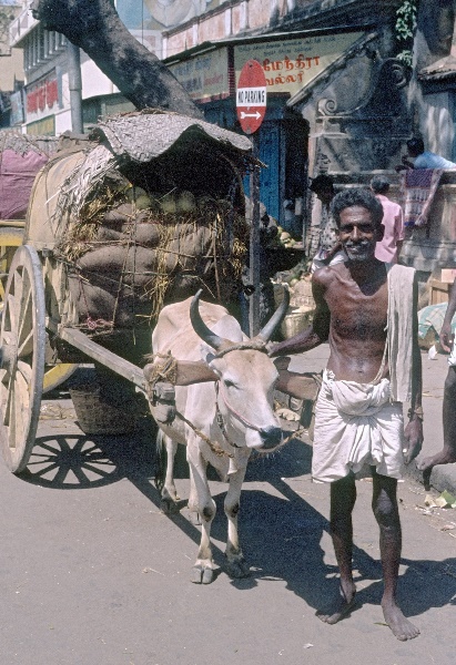 vermutlich 1974. Indien. Andhra Pradesh. Hyderabad.
vermutlich 1974. Indien. Andhra Pradesh. Hyderabad.
Schlüsselwörter: 1974;Andhra Pradesh;Hyderabad;Indien