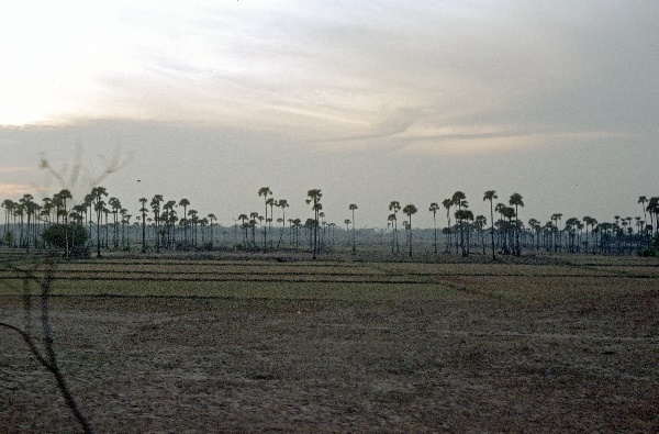 vermutlich 1974. Indien. Andhra Pradesh. Hyderabad.
vermutlich 1974. Indien. Andhra Pradesh. Hyderabad.
Schlüsselwörter: 1974;Andhra Pradesh;Hyderabad;Indien