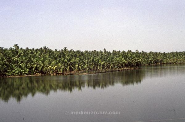 vermutlich 1974. Indien. Kerala. Thiruvananthapuram. Trivandrum
vermutlich 1974. Indien. Kerala. Thiruvananthapuram. Trivandrum
Schlüsselwörter: 1974;Indien;Kerala;Thiruvananthapuram;Trirandum;Trivandrum