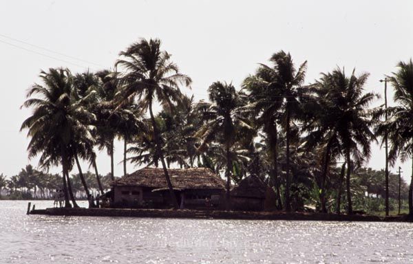 vermutlich 1974. Indien. Kerala. Thiruvananthapuram. Trivandrum
vermutlich 1974. Indien. Kerala. Thiruvananthapuram. Trivandrum
Schlüsselwörter: 1974;Indien;Kerala;Thiruvananthapuram;Trirandum;Trivandrum