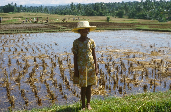1980. Asien. Fernost. Indonesien. Junges Mädchen vor einem Reisfeld.
1980. Asien. Fernost. Indonesien. Junges Mädchen vor einem Reisfeld.
Schlüsselwörter: 1980;Indonesien;Asien;Fernost;Mädchen;Kinder;Reisfelder;Landwirtschaft