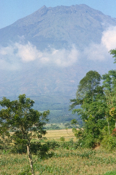 1980. Asien. Fernost. Indonesien.
1980. Asien. Fernost. Indonesien.
Schlüsselwörter: 1980;Indonesien;Asien;Fernost