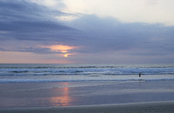 1980. Asien. Fernost. Indonesien. Meer. Strand.
1980. Asien. Fernost. Indonesien. Meer. Strand.
Schlüsselwörter: 1980;Indonesien;Asien;Fernost;Meer;Strand