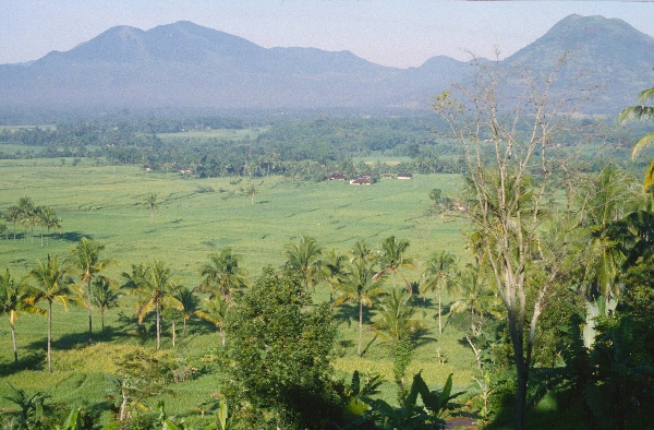 1980. Asien. Fernost. Indonesien.
1980. Asien. Fernost. Indonesien.
Schlüsselwörter: 1980;Indonesien;Asien;Fernost