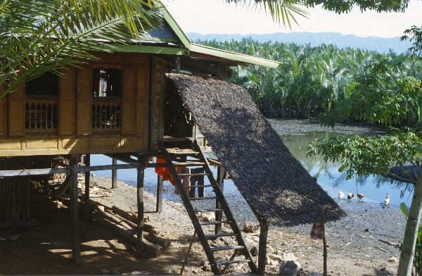 1980. Asien. Fernost. Indonesien.
1980. Asien. Fernost. Indonesien.
Schlüsselwörter: 1980;Indonesien;Asien;Fernost