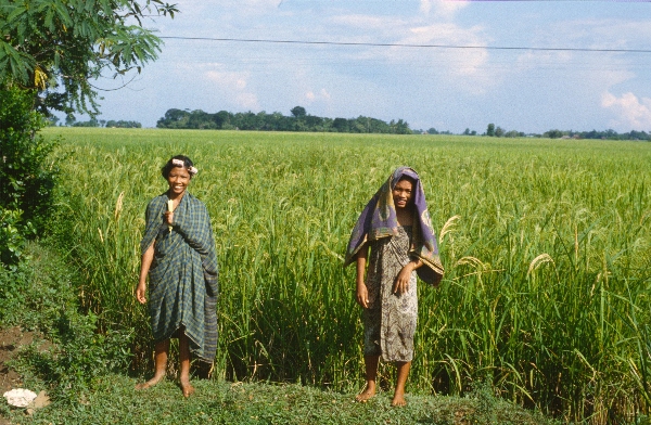 1980. Asien. Fernost. Indonesien.
1980. Asien. Fernost. Indonesien. Zwei junge Frauen / Mädchen am Feldrand.
Schlüsselwörter: 1980;Indonesien;Asien;Fernost;Frauen;Mädchen