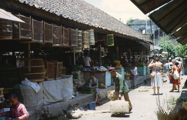 1980. Asien. Fernost. Indonesien.
1980. Asien. Fernost. Indonesien.
Schlüsselwörter: 1980;Indonesien;Asien;Fernost