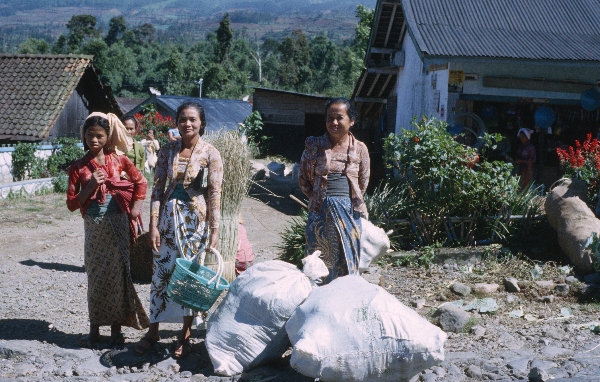 1980. Asien. Fernost. Indonesien.
1980. Asien. Fernost. Indonesien.
Schlüsselwörter: 1980;Indonesien;Asien;Fernost