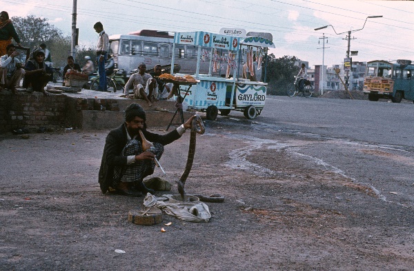 1982. Asien Indien
1982. Asien. Bharat Ganarajya (Hindi), Republic of India, Republik Indien. 
 
Reise durch Indien und Nepal. Foto: Helga Müller
Schlüsselwörter: Asien;Indien;India;Asia