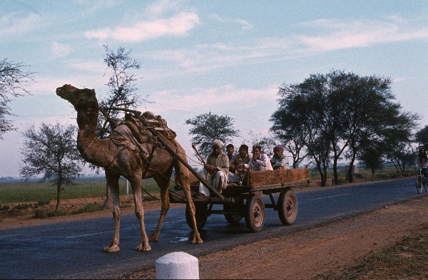 1982. Asien Indien
1982. Asien. Bharat Ganarajya (Hindi), Republic of India, Republik Indien. 
 
Reise durch Indien und Nepal. Foto: Helga Müller
Schlüsselwörter: Asien;Indien;India;Asia