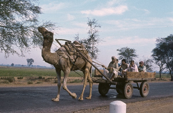 1982. Asien Indien
1982. Asien. Bharat Ganarajya (Hindi), Republic of India, Republik Indien. 
 
Reise durch Indien und Nepal. Foto: Helga Müller
Schlüsselwörter: Asien;Indien;India;Asia