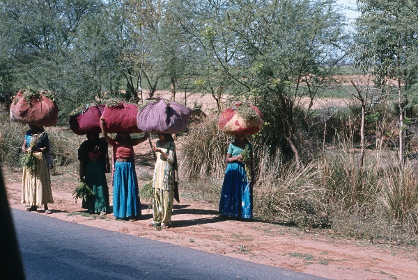 1982. Asien Indien
1982. Asien. Bharat Ganarajya (Hindi), Republic of India, Republik Indien. 
 
Reise durch Indien und Nepal. Foto: Helga Müller
Schlüsselwörter: Asien;Indien;India;Asia