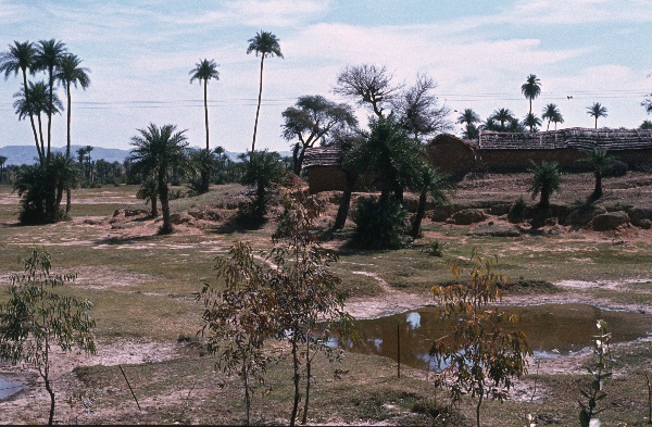 1982. Asien Indien
1982. Asien. Bharat Ganarajya (Hindi), Republic of India, Republik Indien. 
 
Reise durch Indien und Nepal. Foto: Helga Müller
Schlüsselwörter: Asien;Indien;India;Asia