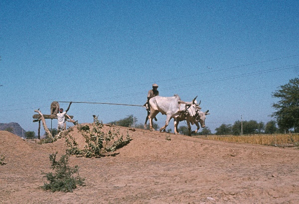 1982. Asien Indien
1982. Asien. Bharat Ganarajya (Hindi), Republic of India, Republik Indien. 
 
Reise durch Indien und Nepal. Foto: Helga Müller
Schlüsselwörter: Asien;Indien;India;Asia