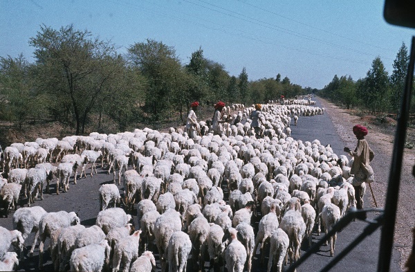 1982. Asien Indien
1982. Asien. Bharat Ganarajya (Hindi), Republic of India, Republik Indien. 
 
Reise durch Indien und Nepal. Foto: Helga Müller
Schlüsselwörter: Asien;Indien;India;Asia