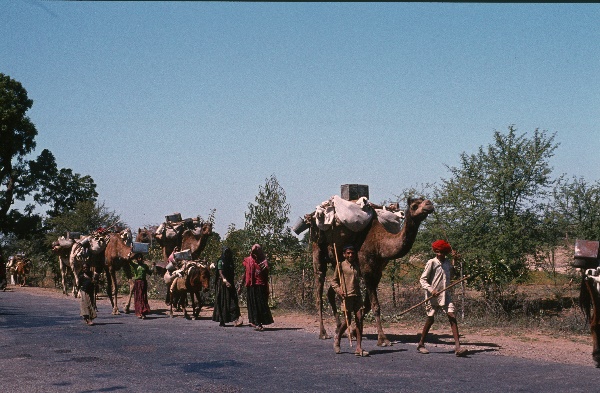 1982. Asien Indien
1982. Asien. Bharat Ganarajya (Hindi), Republic of India, Republik Indien. 
 
Reise durch Indien und Nepal. Foto: Helga Müller
Schlüsselwörter: Asien;Indien;India;Asia