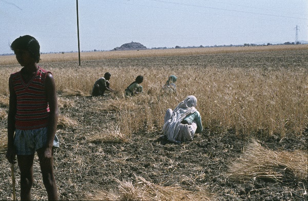 1982. Asien Indien
1982. Asien. Bharat Ganarajya (Hindi), Republic of India, Republik Indien. 
 
Reise durch Indien und Nepal. Foto: Helga Müller
Schlüsselwörter: 1982;Asia;Asien;India;Indien
