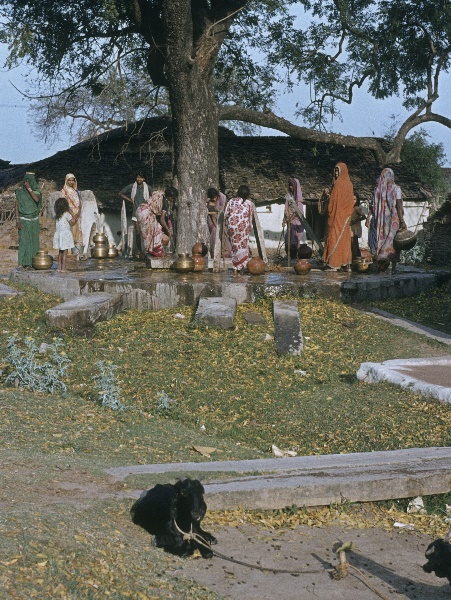 1982. Asien Indien
1982. Asien. Bharat Ganarajya (Hindi), Republic of India, Republik Indien. 
 
Reise durch Indien und Nepal. Foto: Helga Müller
Schlüsselwörter: 1982;Asia;Asien;India;Indien