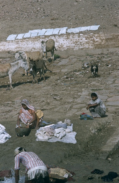 1982. Indien. India. Benares. Uttar Pradesh. Varansi. Kashi. Ganges.
1982. Asien. Bharat Ganarajya (Hindi), Republic of India, Republik Indien.  Religion Hinduismus. 
Varanasi (auch Benares oder Kashi, Bénarès) am Fluss Ganges ist die wichtigste der sieben heiligen Städte der Hindus. Die Stadt ist ein Wallfahrtsort. Am Ufer des Ganges gibt es viele Ghats; das sind breite Treppen, auf denen sich Gläubiger und Pilger drängen, um rituelle Bäder im Ganges vorzunehmen. Sie befreien von begangenen Sünden. Am Ufer finden Leichenverbrennungen statt.  

Foto: Helga Müller
Schlüsselwörter: 1982;Agra;Asien;Benares;Ganges;Hinduismus;India;Indien;Kashi;Religion;Varanasi
