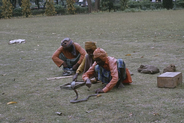 1982. Asien Indien
1982. Asien. Bharat Ganarajya (Hindi), Republic of India, Republik Indien. 
 
Reise durch Indien und Nepal. Foto: Helga Müller
Schlüsselwörter: 1982;Asia;Asien;India;Indien