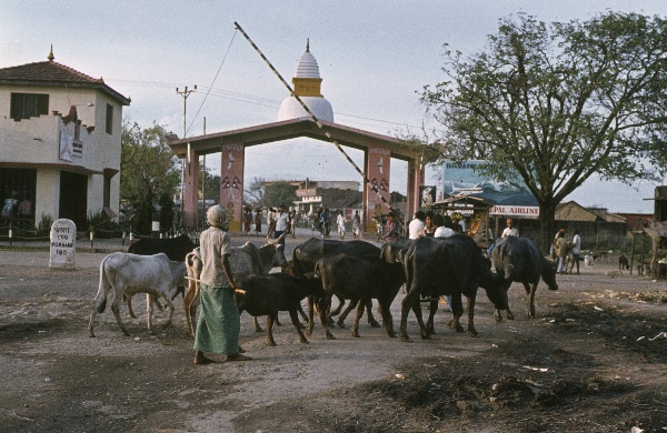 1982. Asien Indien
1982. Asien. Bharat Ganarajya (Hindi), Republic of India, Republik Indien. 
 
Reise durch Indien und Nepal. Foto: Helga Müller
Schlüsselwörter: 1982;Asia;Asien;India;Indien