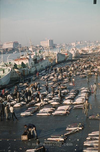 1969. Japan. Fischmarkt am Hafen.
1969. Japan. Fischmarkt am Hafen.
Schlüsselwörter: 1969;Asien;Fischmarkt;Hafen;Japan