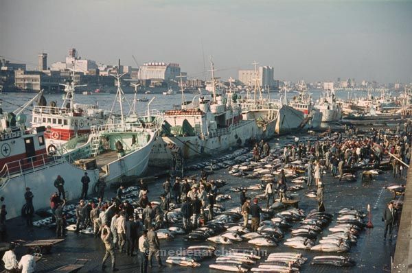 1969. Japan. Fischmarkt am Hafen.
1969. Japan. Fischmarkt am Hafen.
Schlüsselwörter: 1969;Asien;Fischmarkt;Hafen;Japan