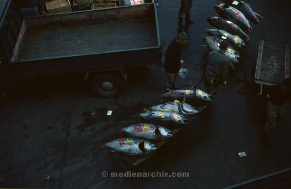 1969. Japan. Fischmarkt am Hafen.
1969. Japan. Fischmarkt am Hafen.
Schlüsselwörter: 1969;Asien;Fischmarkt;Hafen;Japan