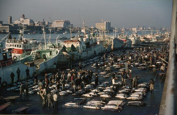 1969. Japan. Fischmarkt am Hafen.
1969. Japan. Fischmarkt am Hafen.
Schlüsselwörter: 1969;Asien;Fischmarkt;Hafen;Japan