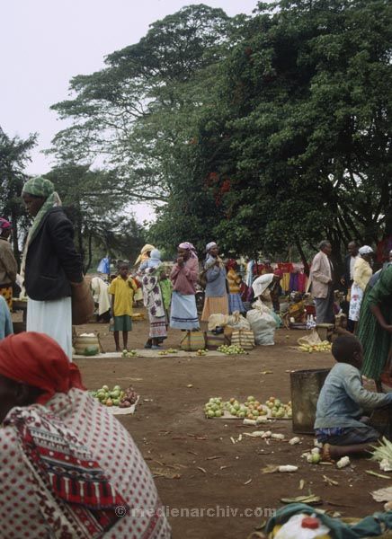 1986. Afrika, Ostafrika, Republik Kenia, Republic of Kenya, Jamhuri ya Kenya (Kisuaheli)
1986. Afrika, Ostafrika, Republik Kenia, Republic of Kenya, Jamhuri ya Kenya (Kisuaheli). Gemüsemarkt.



Foto: Helga Müller
Schlüsselwörter: Afrika;Ostafrika;Kenia;Kenya;1986;Markt