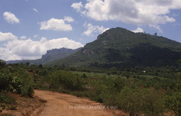1986. Afrika, Ostafrika, Republik Kenia, Republic of Kenya, Jamhuri ya Kenya (Kisuaheli)
Afrika, Ostafrika, Republik Kenia, Republic of Kenya, Jamhuri ya Kenya (Kisuaheli)
Landschaft, Landwirtschaft

Foto: Helga Müller
Schlüsselwörter: Afrika;Ostafrika;Kenia;Kenya;1986
