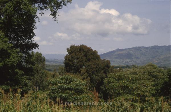 1986. Afrika, Ostafrika, Republik Kenia, Republic of Kenya, Jamhuri ya Kenya (Kisuaheli)
Afrika, Ostafrika, Republik Kenia, Republic of Kenya, Jamhuri ya Kenya (Kisuaheli)
Landschaft, Landwirtschaft

Foto: Helga Müller
Schlüsselwörter: Afrika;Ostafrika;Kenia;Kenya;1986