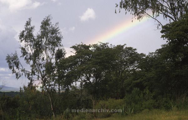1986. Afrika, Ostafrika, Republik Kenia, Republic of Kenya, Jamhuri ya Kenya (Kisuaheli)
Afrika, Ostafrika, Republik Kenia, Republic of Kenya, Jamhuri ya Kenya (Kisuaheli)
Landschaft, Landwirtschaft. Regenbogen

Foto: Helga Müller
Schlüsselwörter: Afrika;Ostafrika;Kenia;Kenya;1986;Regenbogen