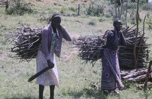 1987. Afrika, Ostafrika, Republik Kenia, Republic of Kenya, Jamhuri ya Kenya (Kisuaheli)
1987. Afrika, Ostafrika, Republik Kenia, Republic of Kenya, Jamhuri ya Kenya (Kisuaheli)

Foto: Helga Müller
Schlüsselwörter: Afrika;Ostafrika;Kenia;Kenya;1987