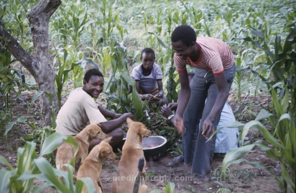 1987. Afrika, Ostafrika, Republik Kenia, Republic of Kenya, Jamhuri ya Kenya (Kisuaheli)
1987. Afrika, Ostafrika, Republik Kenia, Republic of Kenya, Jamhuri ya Kenya (Kisuaheli)

Foto: Helga Müller
Schlüsselwörter: Afrika;Ostafrika;Kenia;Kenya;1987