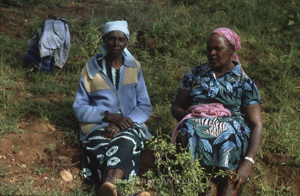 1991. Afrika, Ostafrika, Republik Kenia, Republic of Kenya, Jamhuri ya Kenya (Kisuaheli)
1991. Afrika Africa, Ostafrika, Republik Kenia, Republic of Kenya, Jamhuri ya Kenya
Schlüsselwörter: Afrika;Ostafrika;Kenia;Kenya;1991;Africa