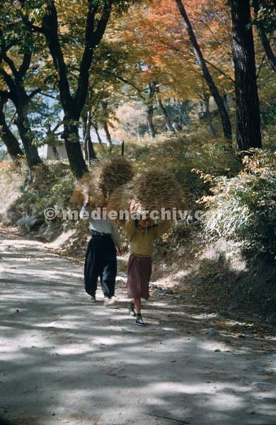 1958. Asien. Fernost. Korea. Südkorea.
1958. Asien. Fernost. Korea. Südkorea.
Schlüsselwörter: 1958;Asien;Fernost;Korea;Südkorea