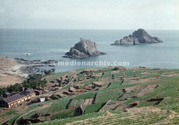 1958. Asien. Fernost. Korea. Südkorea.
1958. Asien. Fernost. Korea. Südkorea. Küste. Meer. Felder. Landwirtschaft
Schlüsselwörter: 1958;Asien;Felder;Fernost;Korea;Küste;Landwirtschaft;Meer;Südkorea