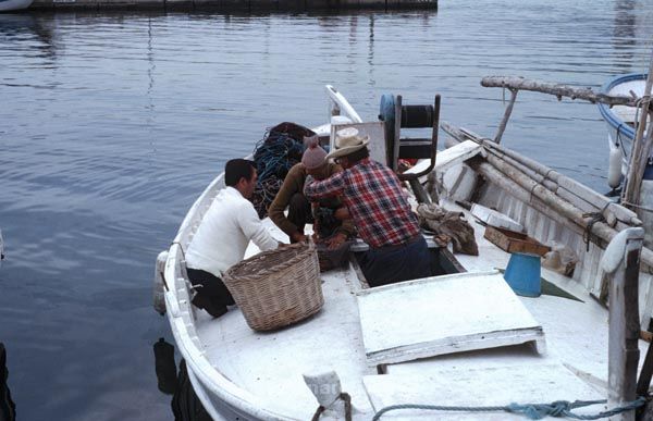 1979. Mittelamerika. Mexiko.
1979. Mittelamerika. Mexiko.
Schlüsselwörter: 1979;Mexiko;Mittelamerika;Zentralamerika