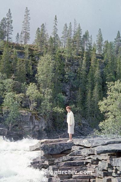 1967. Skandinavien. Norwegen. Fluss. Wasser
1967. Skandinavien. Norwegen. Fluss. Wasser. Norway. River
Schlüsselwörter: 1967;Fluss;Fluß;Norway;Norwegen;River;Skandinavien;Wasser