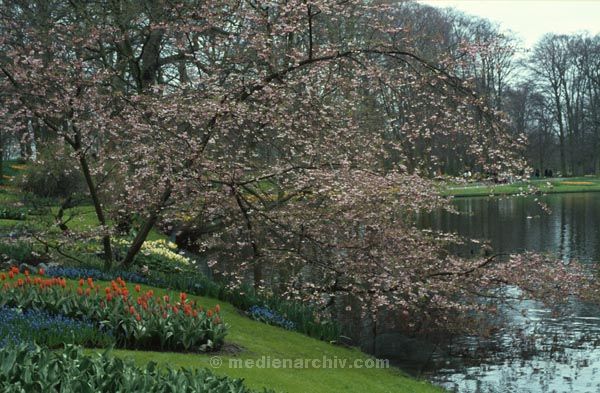 1974. Niederlande. Holland.
1974. Niederlande. Holland.
Schlüsselwörter: 1974;Niederlande;Holland