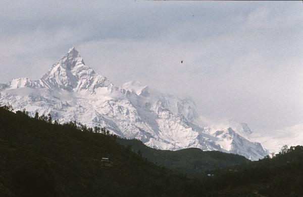 1982. Asien Nepal
1982. Asien. Königreich Nepal. Nepal Adhirajya.
 
Reise durch Indien und Nepal. Foto: Helga Müller
Schlüsselwörter: 1982;Asia;Asien;Nepal