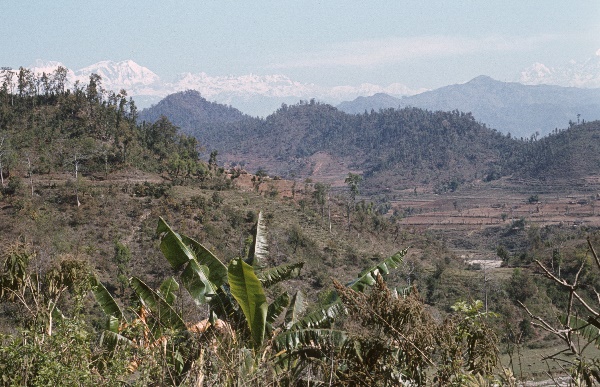 1982. Asien Nepal
1982. Asien. Königreich Nepal. Nepal Adhirajya.
 
Reise durch Indien und Nepal. Foto: Helga Müller
Schlüsselwörter: 1982;Asia;Asien;Nepal