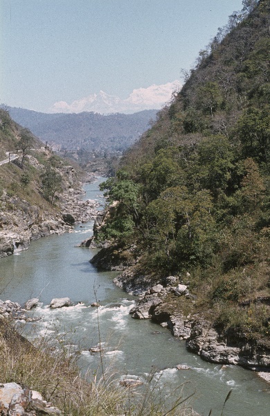 1982. Asien Nepal
1982. Asien. Königreich Nepal. Nepal Adhirajya.
 
Reise durch Indien und Nepal. Foto: Helga Müller
Schlüsselwörter: 1982;Asia;Asien;Nepal