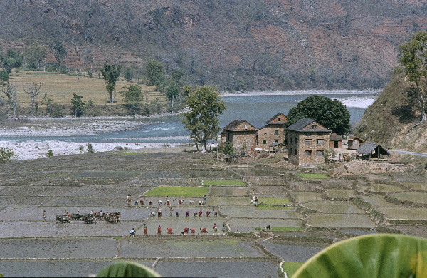 1982. Asien Nepal
1982. Asien. Königreich Nepal. Nepal Adhirajya.
 
Reise durch Indien und Nepal. Foto: Helga Müller
Schlüsselwörter: 1982;Asia;Asien;Nepal