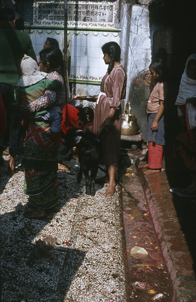 1982. Asien Nepal
1982. Asien. Königreich Nepal. Nepal Adhirajya.
 
Reise durch Indien und Nepal. Foto: Helga Müller
Schlüsselwörter: 1982;Asia;Asien;Nepal