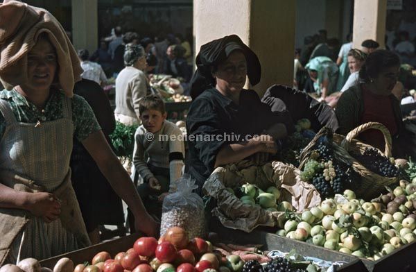 1963. Portugal.
1963. Portugal. Markt. Gemüsestand. Käufer. Frauen
Schlüsselwörter: 1963;Frauen;Gemüsestand;Markt;Portugal